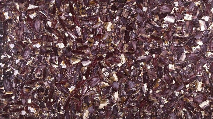 Jasper Viola